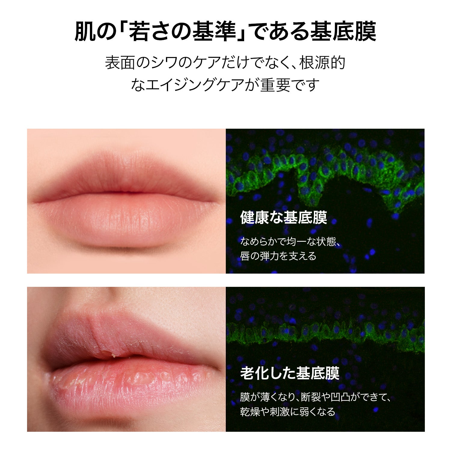 バイオリップ エッセンス リップスティック 723 & 725