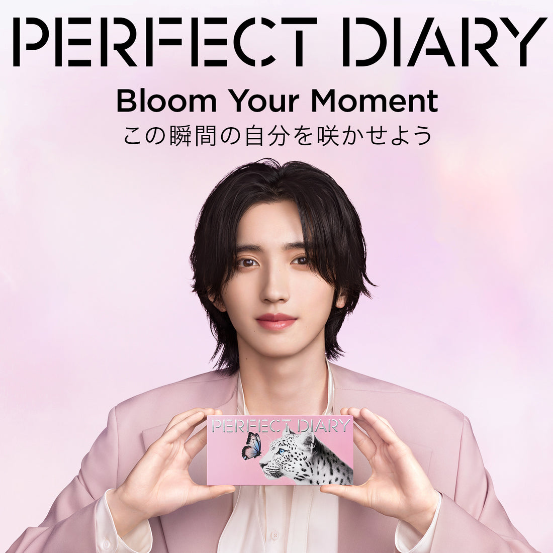 エクスプローラ12色アイシャドウ サクラバタフライ