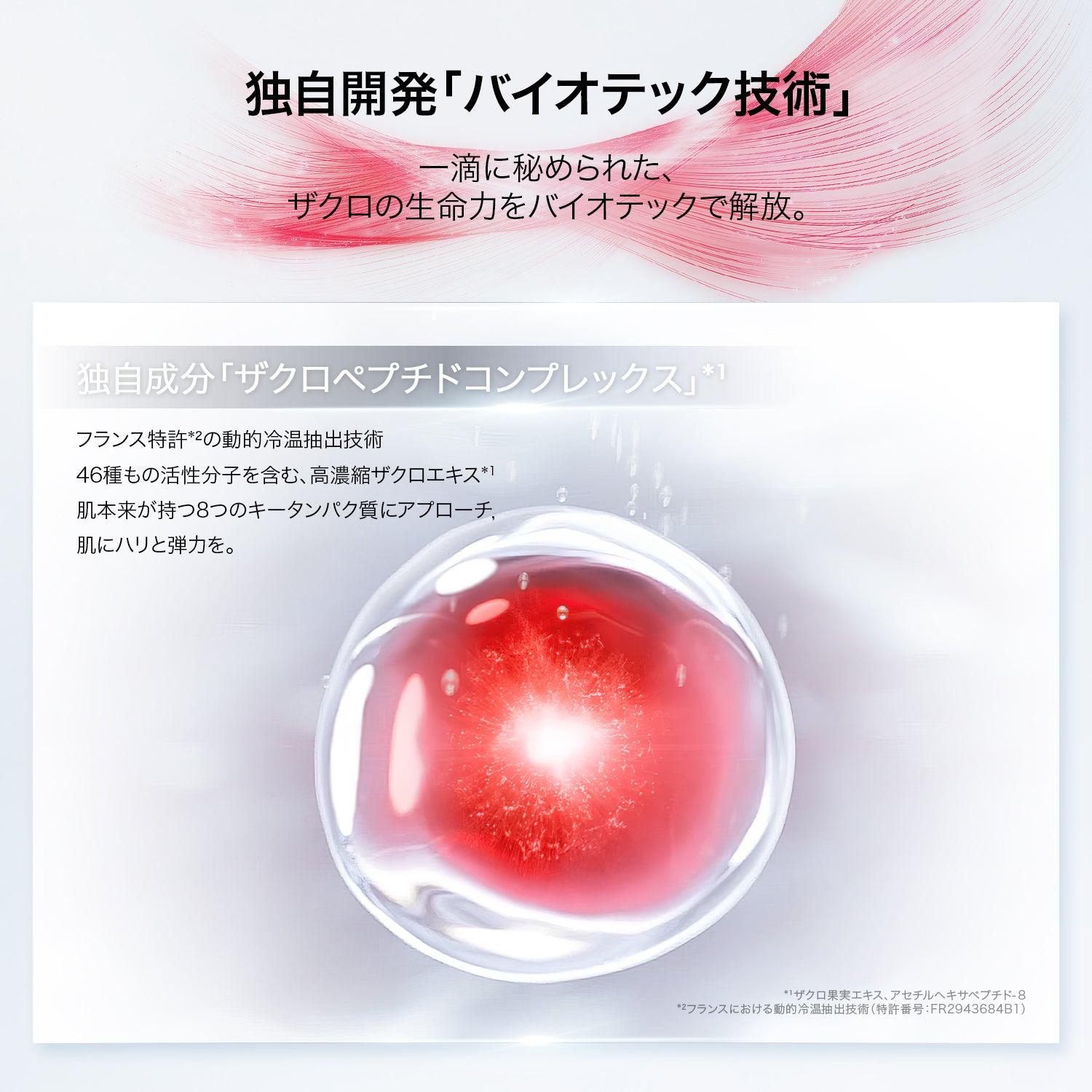 バイオテック エッセンス リッチ クリーム &amp; ライト クリーム